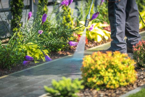 Best Animal Enclosure Cleaning  in Blue Ridge, GA