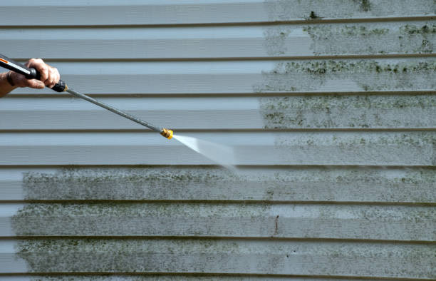 Best House Exterior Washing  in Blue Ridge, GA