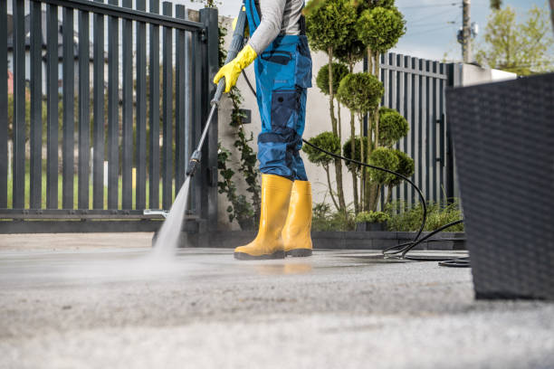 Best Pool Deck Cleaning  in Blue Ridge, GA