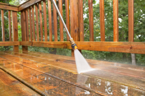 Animal Enclosure Cleaning in Blue Ridge, GA